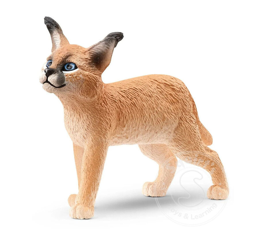 Caracal Cub - retired
