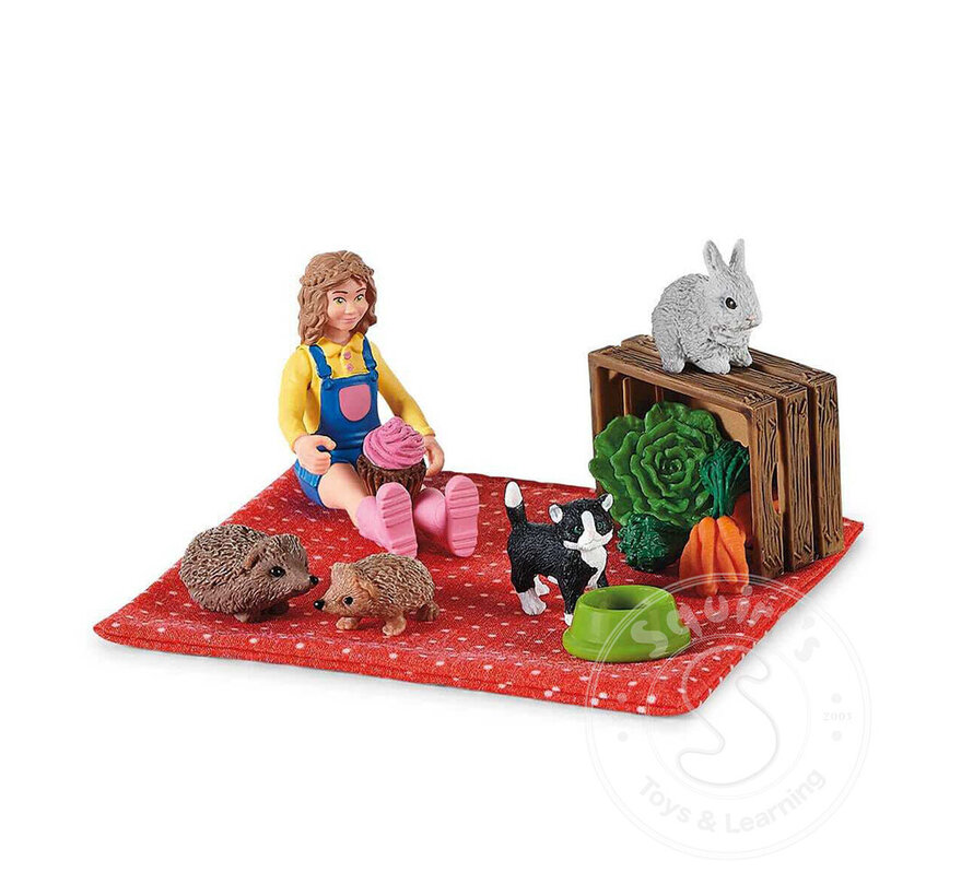 FINAL SALE Schleich Farm World Picnic with Little Pets -  retired