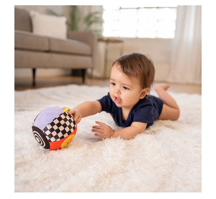 Wimmer Sensory Ball