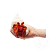 Folkmanis Folkmanis Mini Hermit Crab Finger Puppet