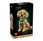 LEGO® Icons Golden Retriever Puppy