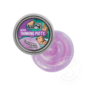 Crazy Aaron's Crazy Aaron's Mini Capybara Thinking Putty