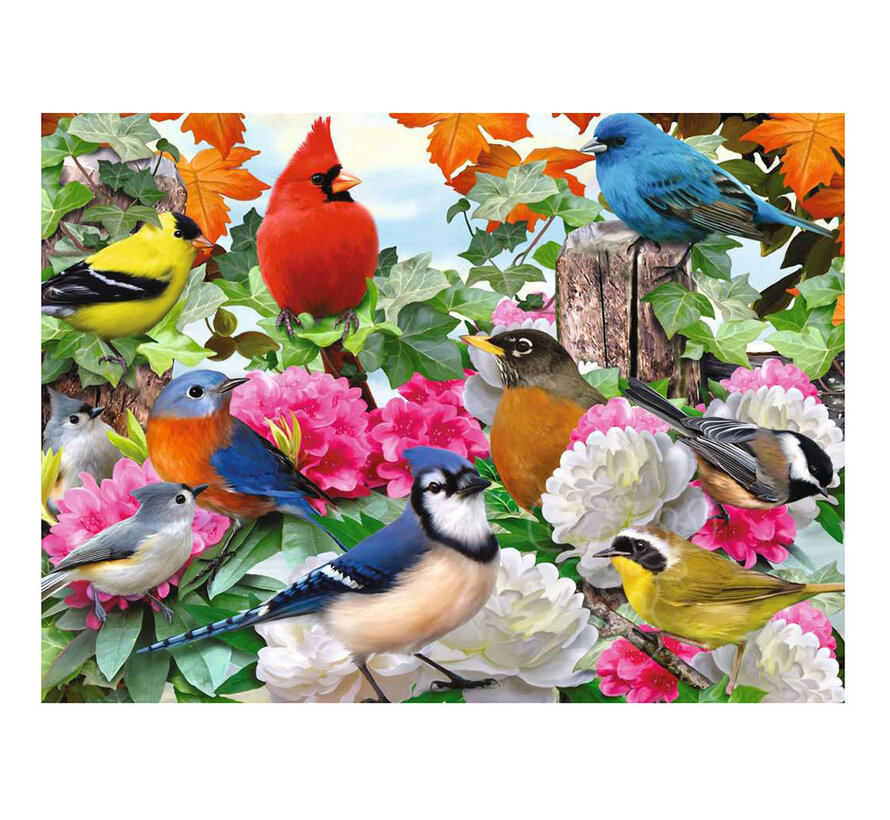 Ravensburger Garden Birds Puzzle 500pcs