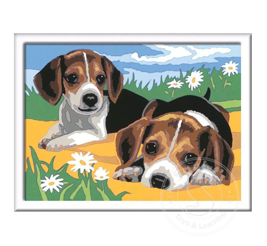CreArt Paint by Numbers - Jack Russell Puppy