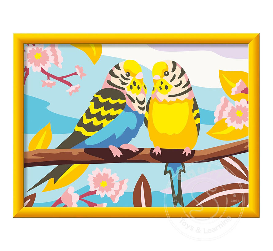 CreArt Paint by Numbers -Lovely Budgies