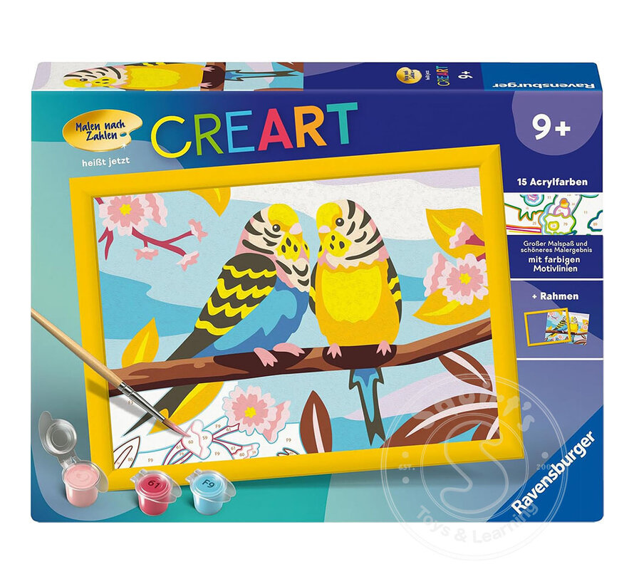 CreArt Paint by Numbers -Lovely Budgies