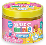 Creativity for Kids Creativity for Kids Sensory Minis - Capybara