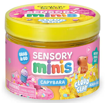 Creativity for Kids Creativity for Kids Sensory Minis - Capybara