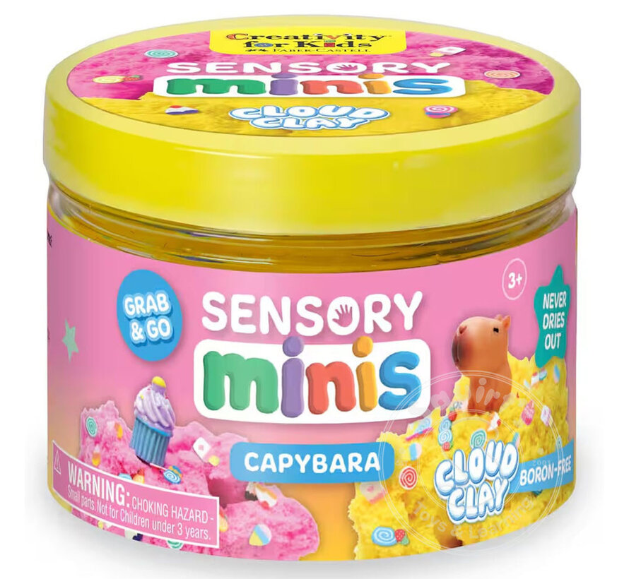 Creativity for Kids Sensory Minis - Capybara