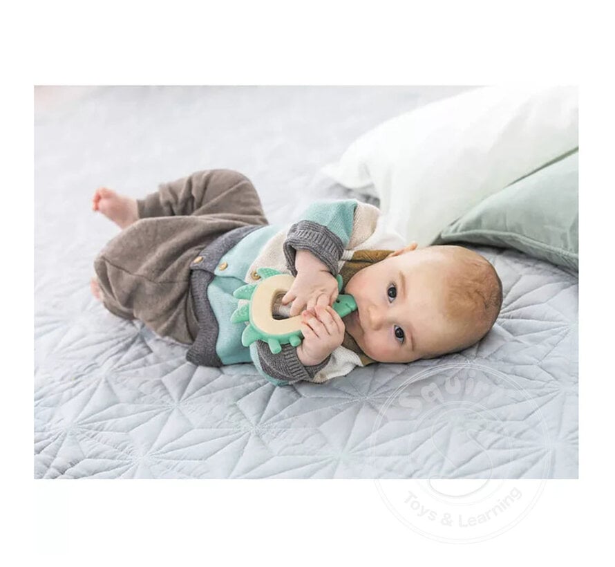 Hape Teether Hedgehog