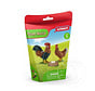 Schleich Feathered Family (Promo)