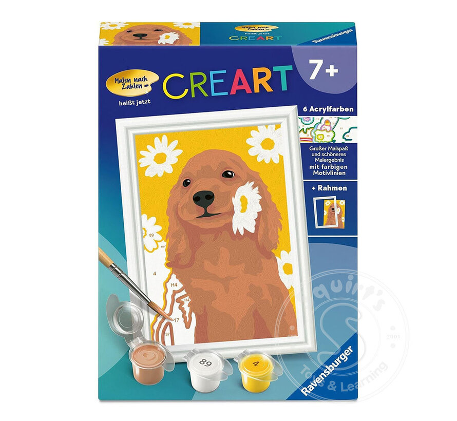 CreArt: Paint by Numbers - Sunny Cocker Spaniel