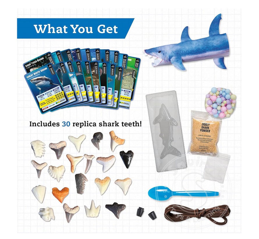 Klutz Steam Lab: Shark-tastic Teeth!