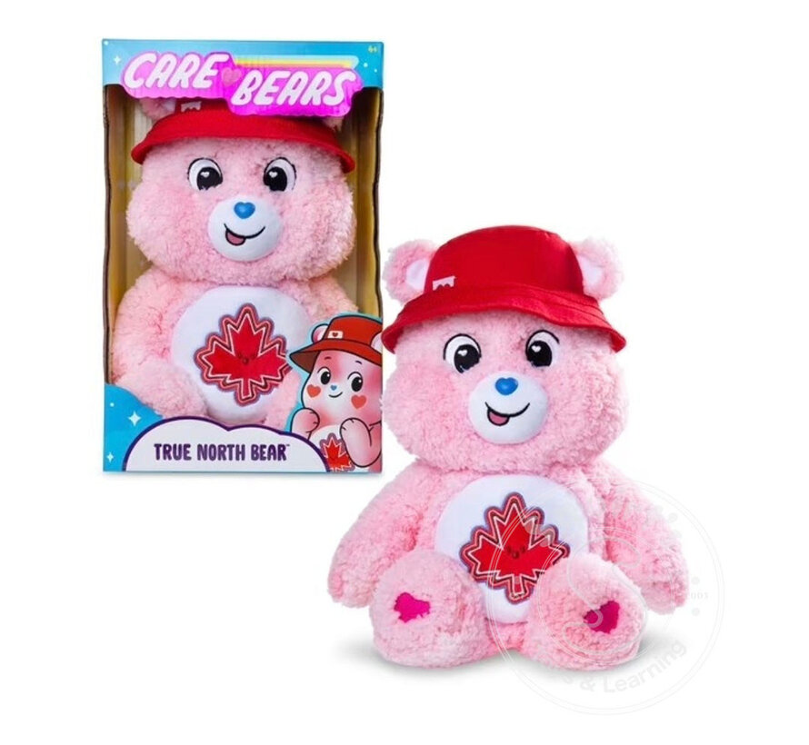 Care Bears - 14" True North Bear Plush