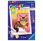 CreArt Paint by Numbers - Maine Coon Kitten