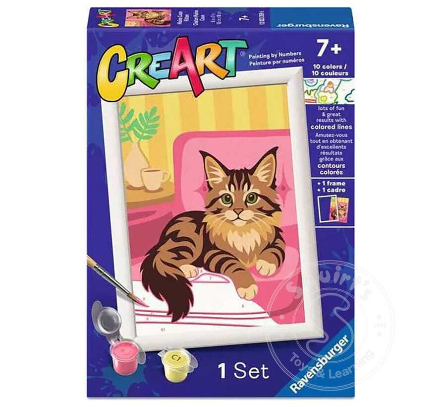 CreArt Paint by Numbers - Maine Coon Kitten