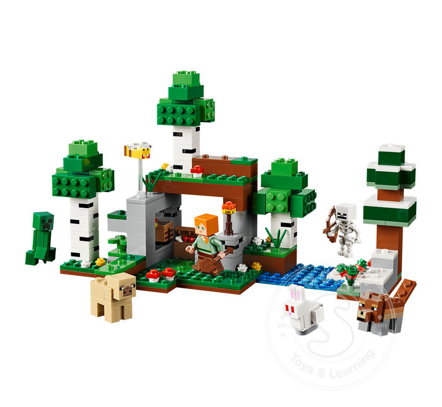 LEGO® Minecraft First Night Adventure