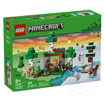 LEGO® LEGO® Minecraft First Night Adventure