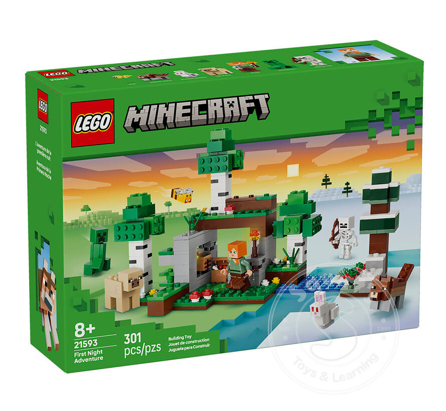 LEGO® Minecraft First Night Adventure