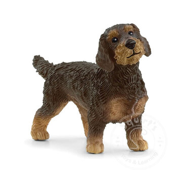 Schleich Schleich Wire-Haired Dachshund