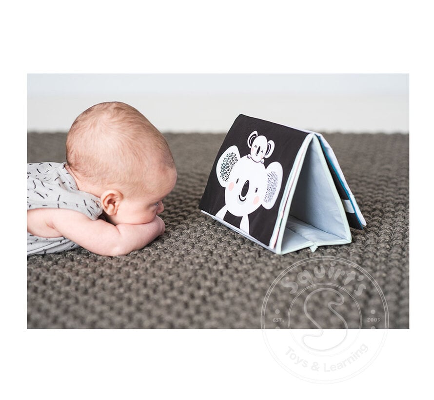 Taf Toys - Tummy Time Book