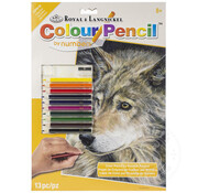 Royal & Langnickel Royal & Langnickel Colour (Pencil) by Number: Curious Eyes