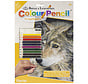 Royal & Langnickel Colour (Pencil) by Number: Curious Eyes