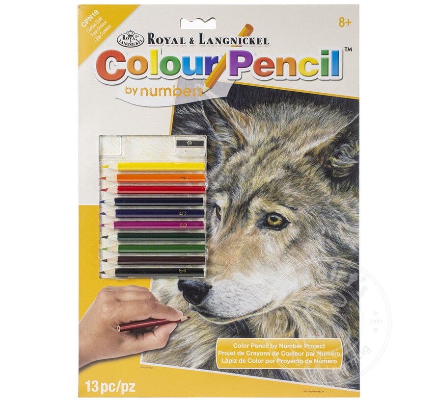 Royal & Langnickel Colour (Pencil) by Number: Curious Eyes
