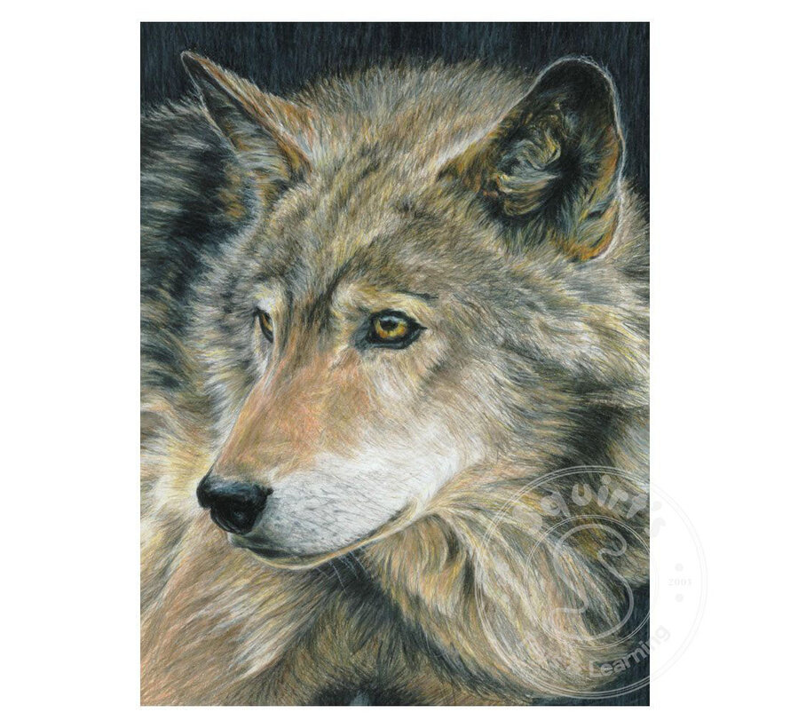 Royal & Langnickel Colour (Pencil) by Number: Curious Eyes