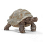 Schleich Giant Tortoise