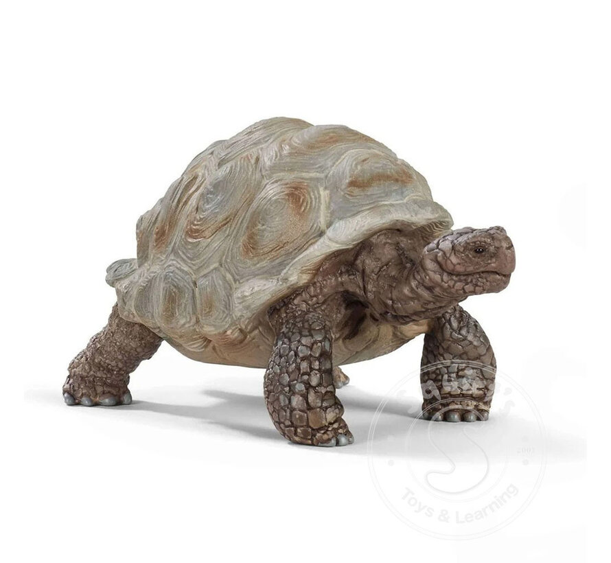 Schleich Giant Tortoise