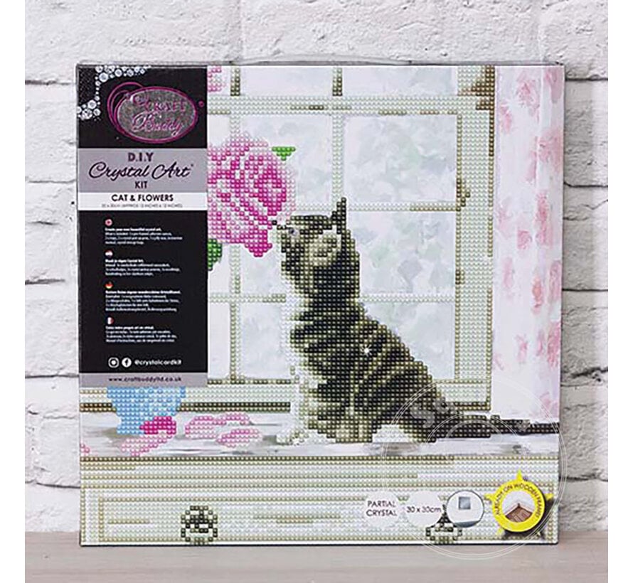 D.I.Y. Crystal Art Kit Medium: Cat