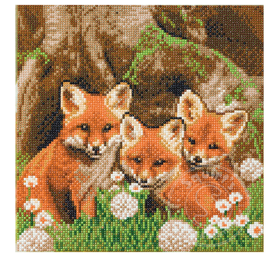 D.I.Y. Crystal Art Kit Medium: Fox Cubs