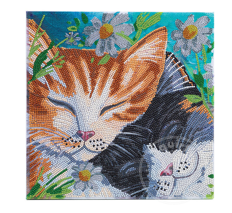 D.I.Y. Crystal Art Kit Medium: Sleepy Cats