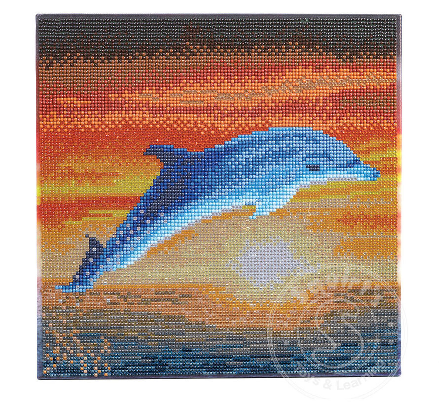 D.I.Y. Crystal Art Kit Medium: Dolphin Sunrise