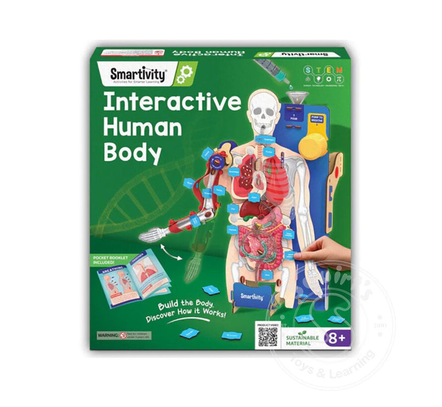 Smartivity -  Interactive Human Body