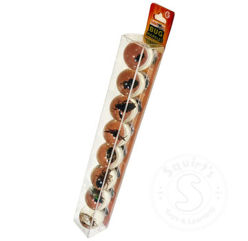 Safari Safari Ltd Geoworld Bug Marbles - Real Bug Specimens in Marbles