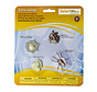 Safari Life Cycle of a Spider