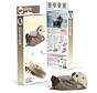 EUGY Sea Otter 3D Puzzle