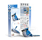 EUGY Blue Jay 3D Puzzle