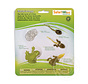 Safari Life Cycle of a Frog