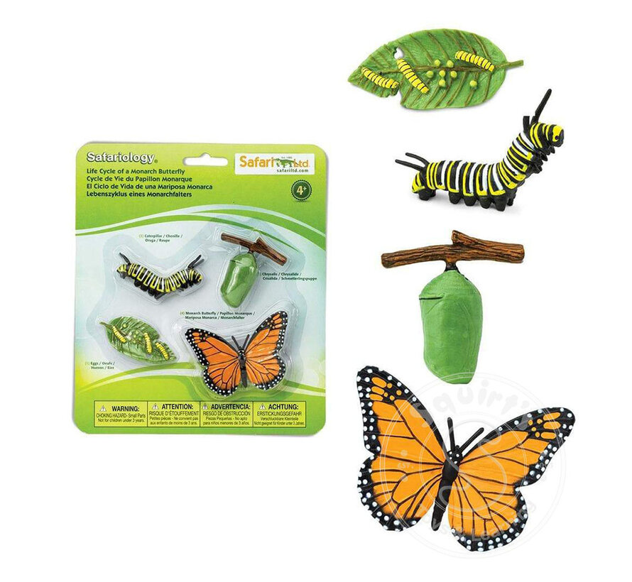 Safari Life Cycle of a Monarch Butterfly