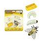 Life Cycle of a Honey Bee