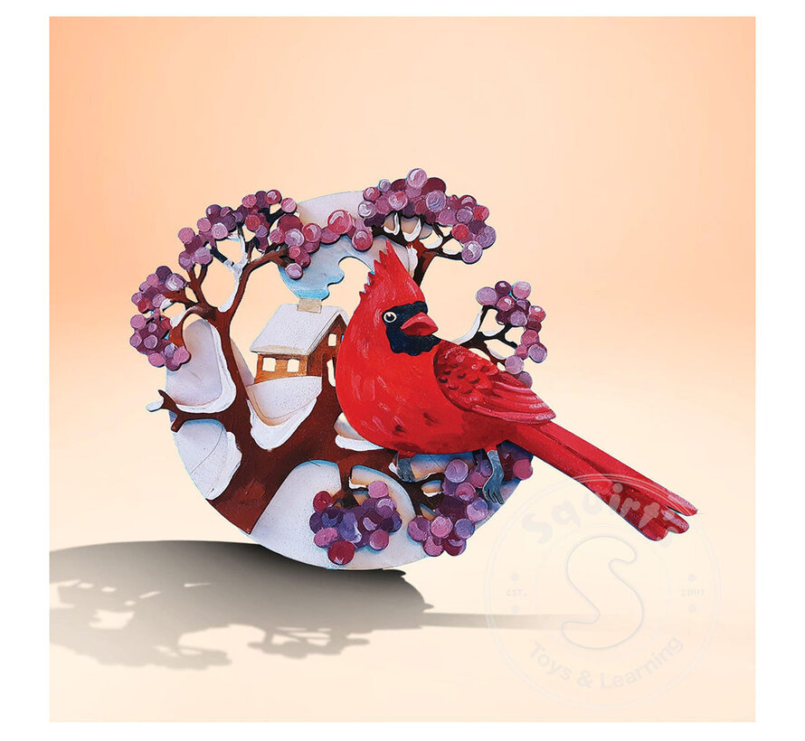 McTavish Academy of Art: 3D Cardinal Art Kit
