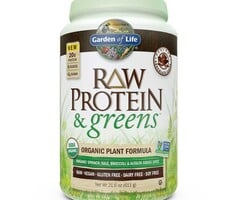 Garden of Life Raw Protein & Greens Chocolate
