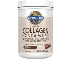 Garden of Life Collagen Creamer - Chocolate 342g