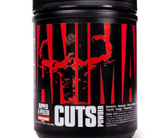 Animal Animal Cuts - Orange Mango