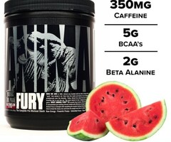 Animal Fury Pre Watermelon