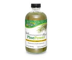 North American Herb & Spice Raw Pine Power Plus 8 oz