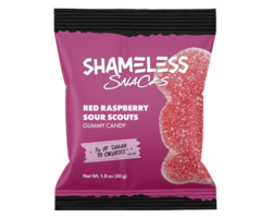 Shameless Snacks Shameless Snacks- Red Raspberry Sour Scouts